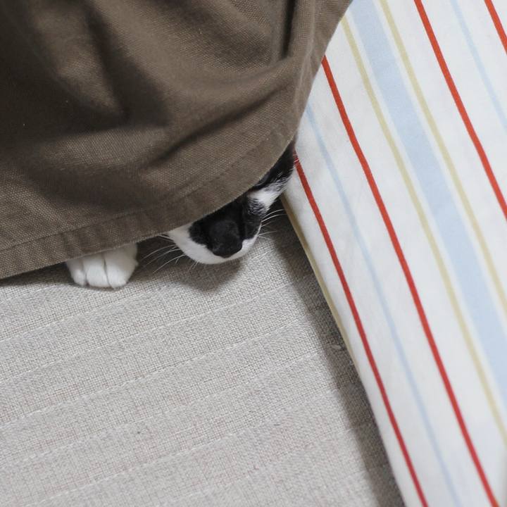 510e3ad6 dc60 4547 8382 b04544386b9c