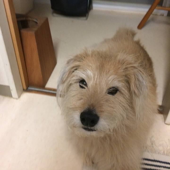 510e672d 6fe3 4066 b668 269b2d4049da