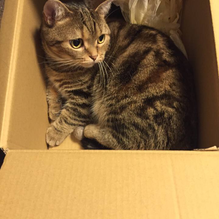 510e6dab ddc3 46c0 b07f 35aa7a3a4e09