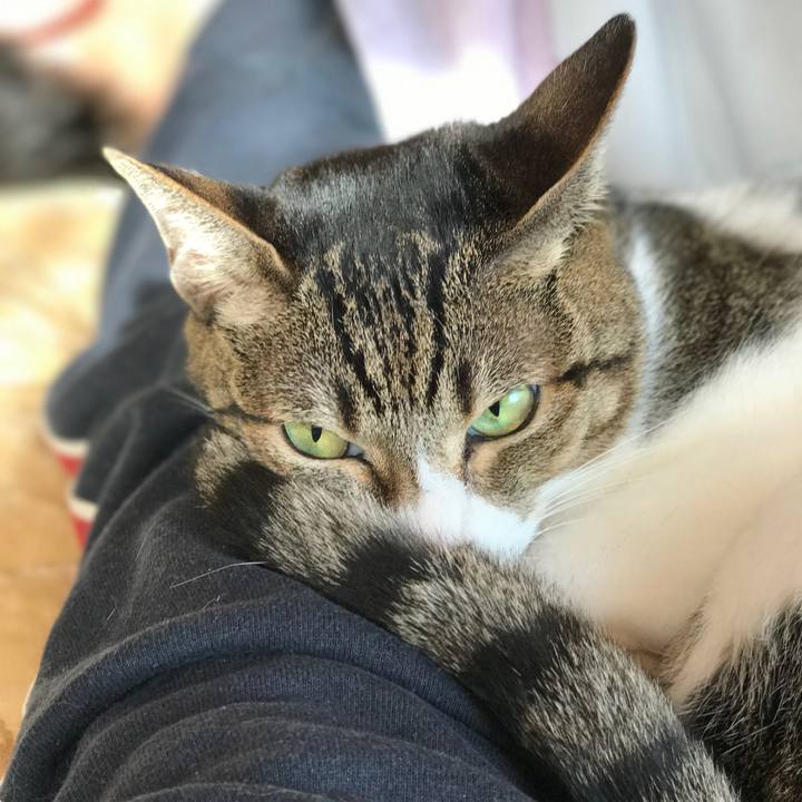 510e7cf5 1827 4097 a0cc 992dd786c0e0