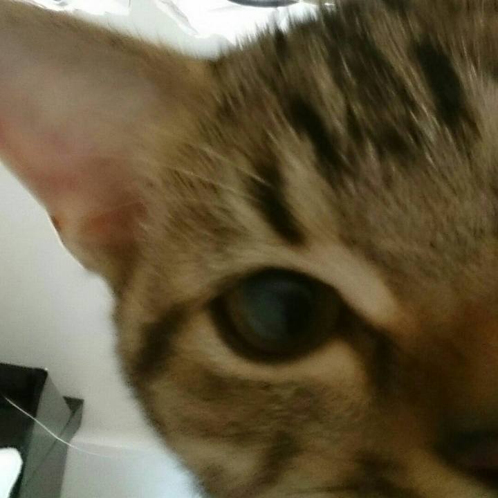 510efd67 b0b5 413b a309 b292c43995a3