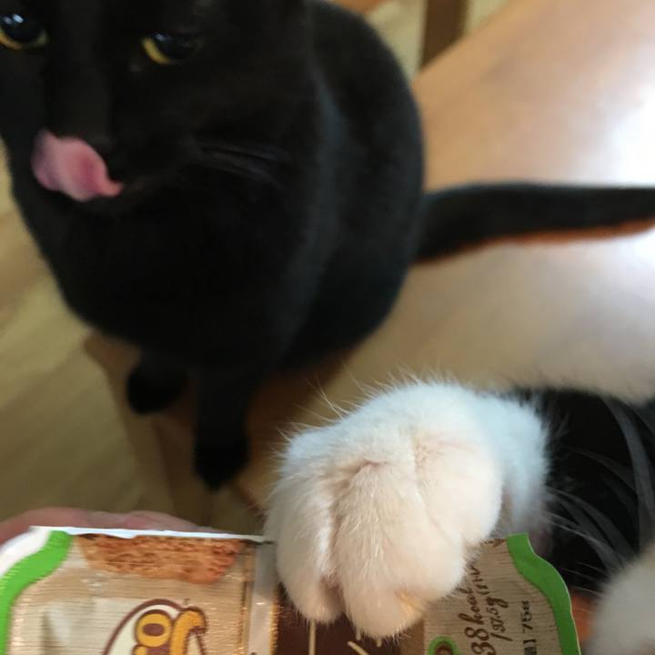 510f0853 6348 4ab0 9c41 0c935b2aa5c8