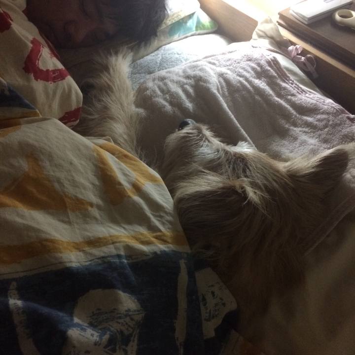 510f4ccd 2c8c 4b3d b425 f37947a22c1b