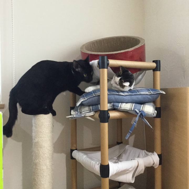 510f5f50 b9bc 4954 9fc1 75f02e93e986