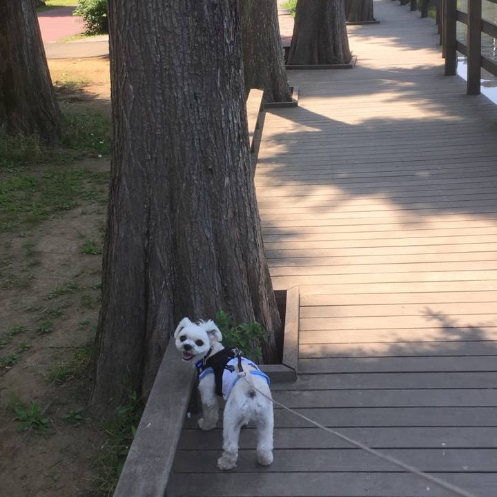 510f6c47 e63f 4c25 8a4f 2dec625c2c5a