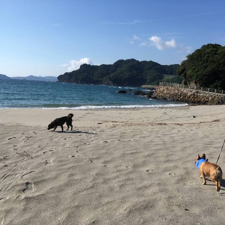 510f6d7e 9c1e 4ee0 8a36 70878f99a68e