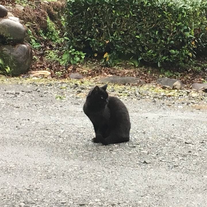 51100265 f14b 4af8 8f2e 7e5739dca715