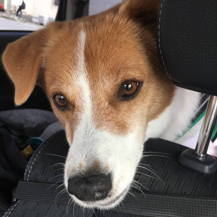 51100e2a 0c01 4132 a46b dffb7b7a9314