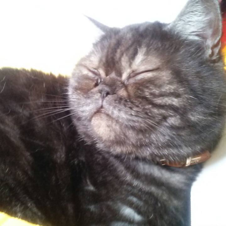 511040a8 36f1 4890 b580 87dbd6340a01