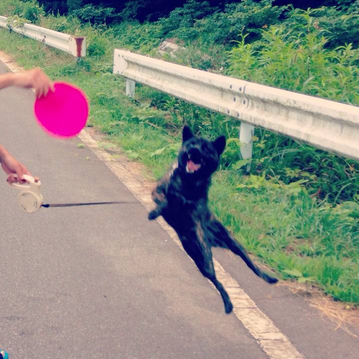 51107111 9c9a 4904 a03c 6c27ab4840a0