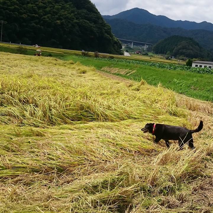 51107b0e 2cf7 4986 85df ffbe38514fac