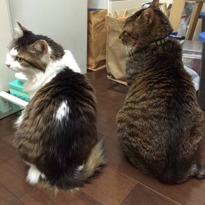 511084ec 1a2d 4b2b a4d4 e48e28dfa202