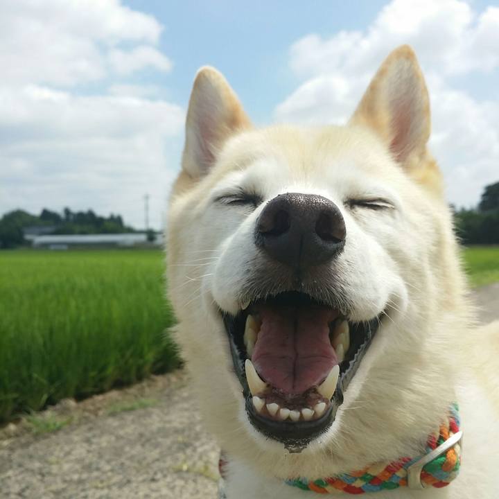 5110c89e 530f 490c 94c9 dfafa3de3548