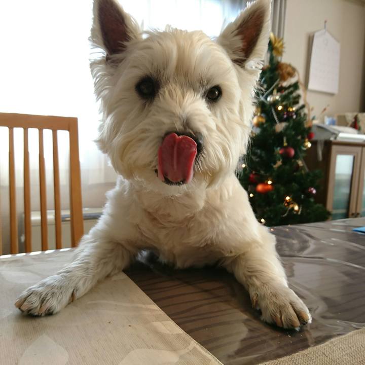 5110f6f0 e9be 44c9 b4ee aebd2c1fc1bb