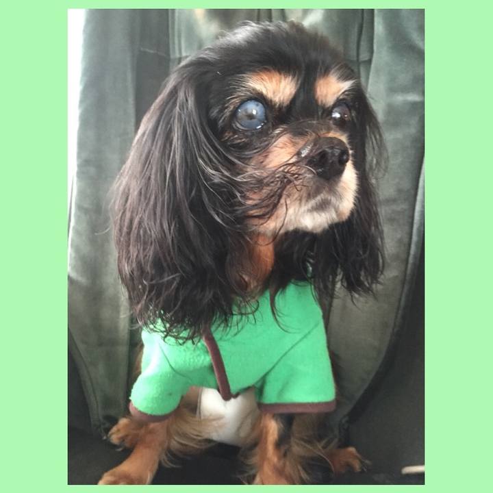 51120aad 0f78 42d0 9d6c a73aa9e498cc