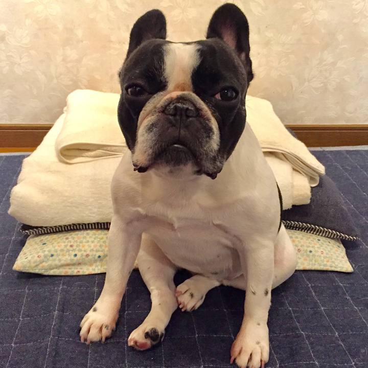 51123107 8e5c 4ca1 91a5 24bc3d53d472