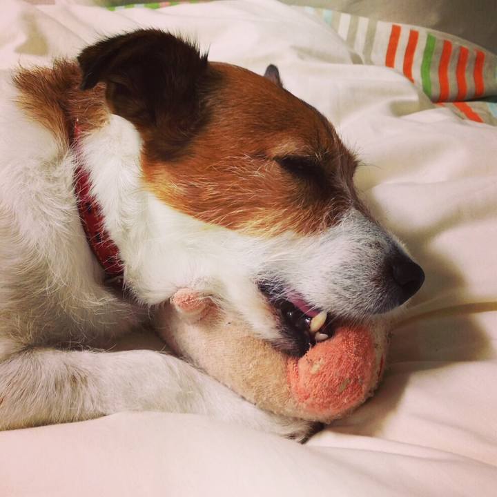 5112483b 8cdb 4c24 9861 8067ea71be86