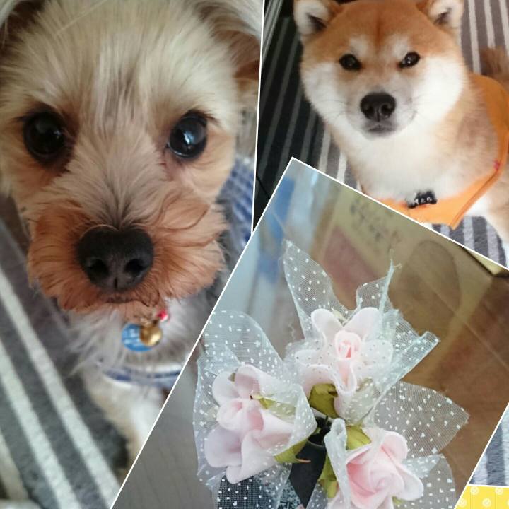 51128aa9 ec33 4770 8da9 95c6dac7ed98