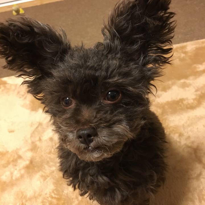 5112c0c5 c0b4 4fef 96ab bc400f852450