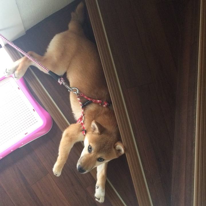 511395be ec56 42cb b0e8 ac2bcb4d754e