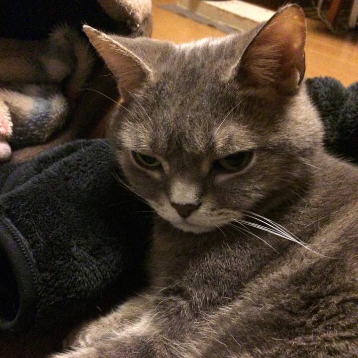 51149ef4 7c8e 4399 a4d5 bfce9363d15f