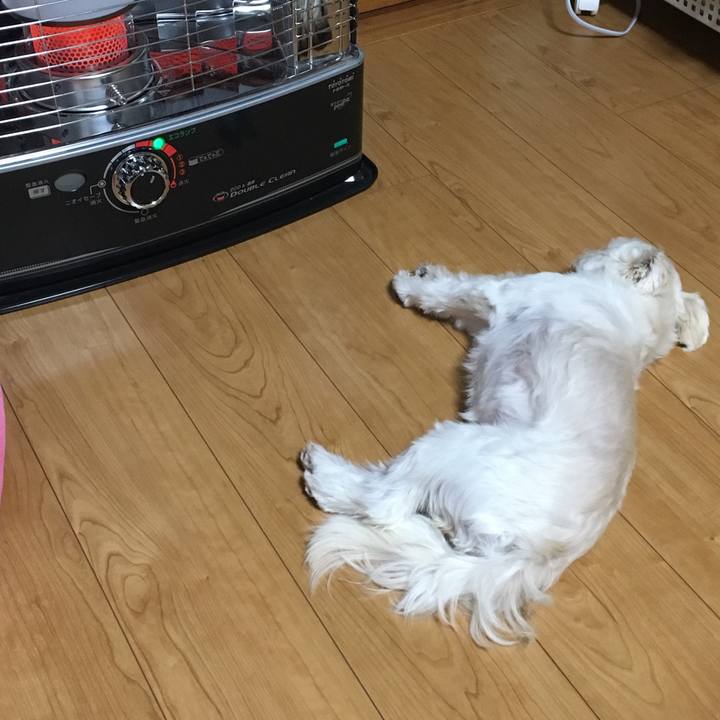 5114a220 5813 468f 9163 31cac4bbb7de