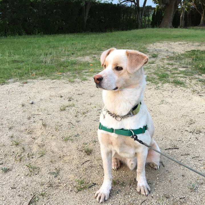 5114d5cd 593b 4a25 a1fd 2afaee0c4c4c