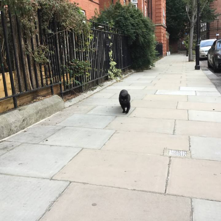 51156f11 ba06 4d44 9ba0 467de49a6d6d