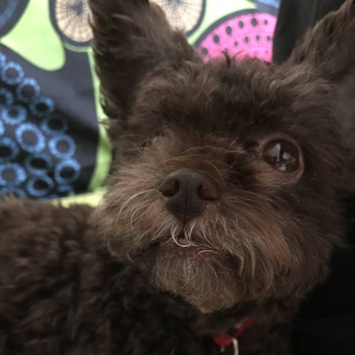 51157f0a ae3e 467e a93a 14fa5fae6c5e