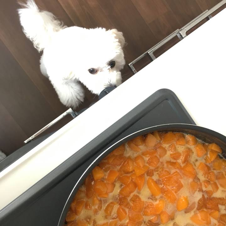 511639cc c3fe 49f6 8215 ae2e4f1aa1ff