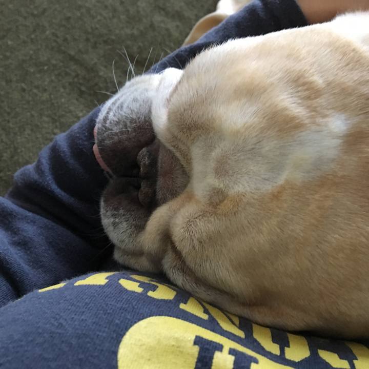 51164daa b4b6 42e2 a685 32bc6d997964