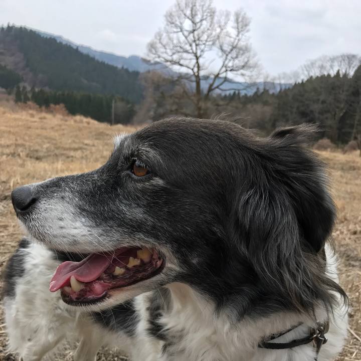 51166596 9f8b 4da1 96d6 4eea05363d05