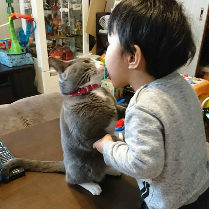 511682e9 8ec3 4796 96e5 77a1e972849b