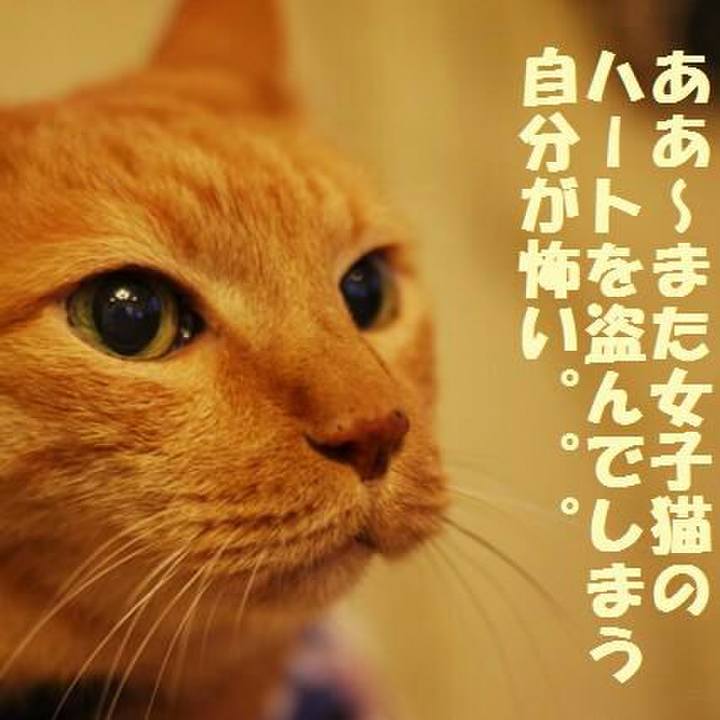 511838eb dc73 416b 88ba cbe87bd26ca5