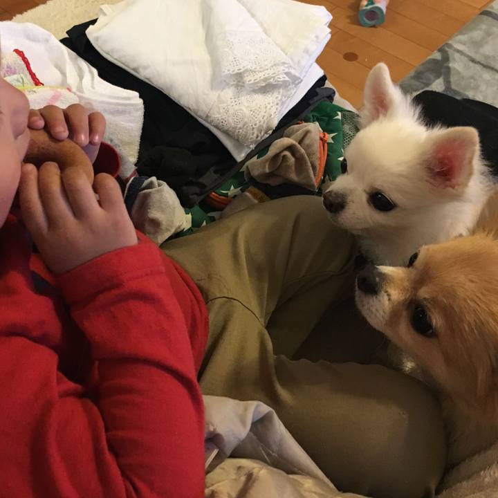 5118480c 60fa 4bd9 a343 43c43cebac88