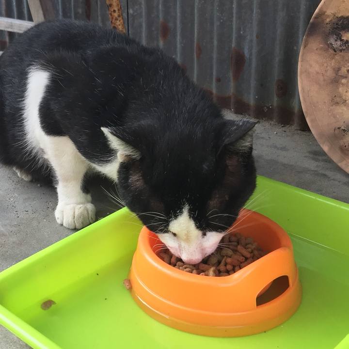 5118b440 e1cc 40c0 8b6e 99ae4c7af147