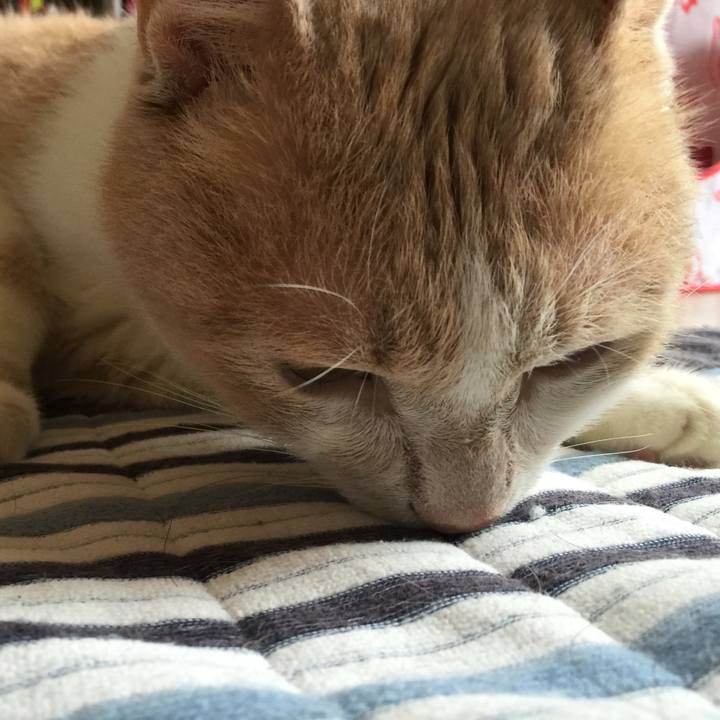 5118c19c c8aa 4292 a37a 6ce7f97cc2d6