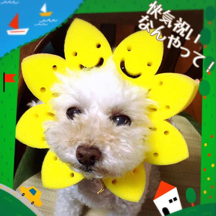 5118cd35 cc13 4f6d a3cf 669f82e3ea1e