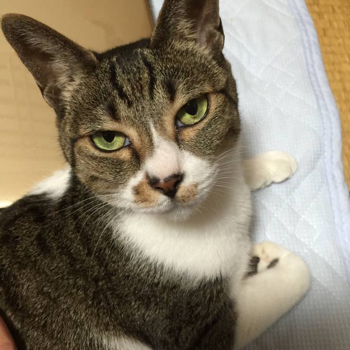 511933cd a47a 4bfc 8a2d 501ceb64ef99