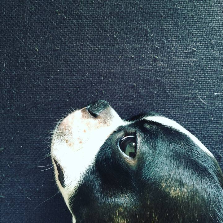 51196e52 56df 4e03 b437 0cee11697f92