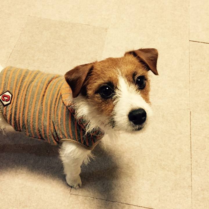 5119ab10 5a2f 4b51 859f cecd8ce9ce8e