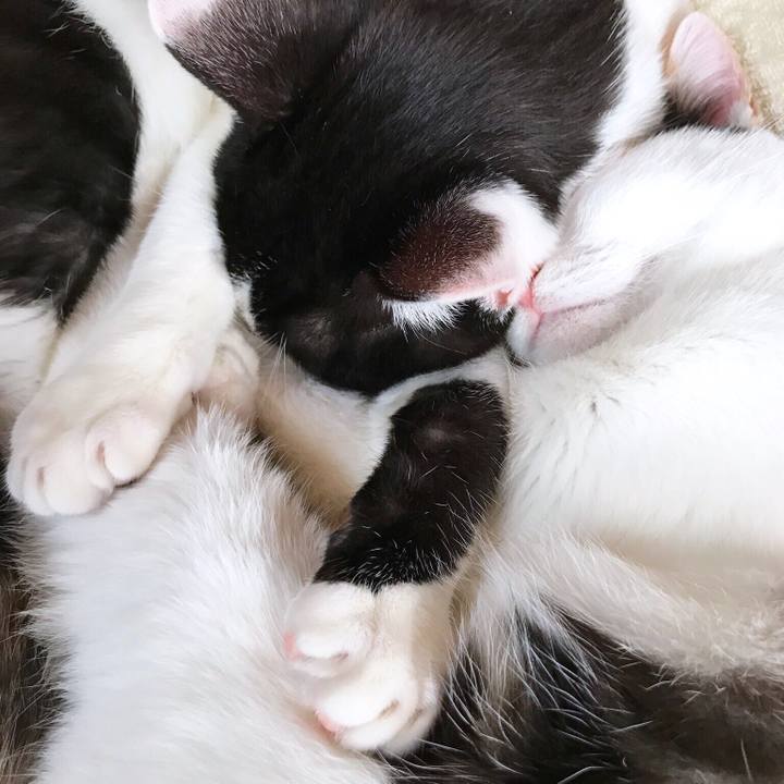 511a1983 28c1 4ab1 87d7 b61903910f6c