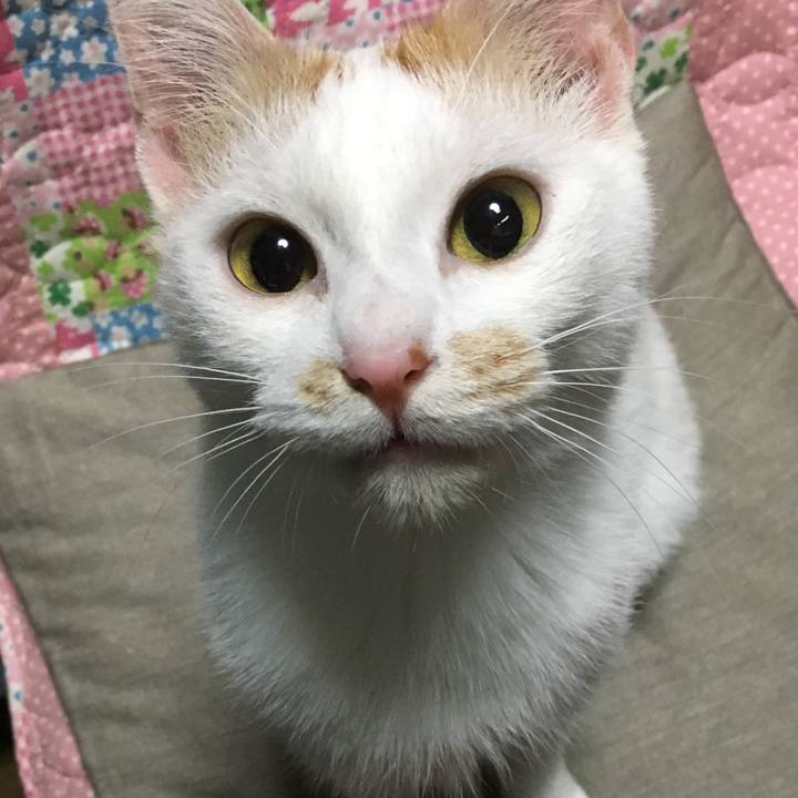 511a310d 0942 4f82 8929 1b1935c0f1cc