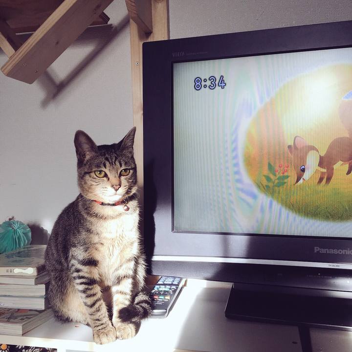 511a970a bee5 4814 b90f b08cfd08f665