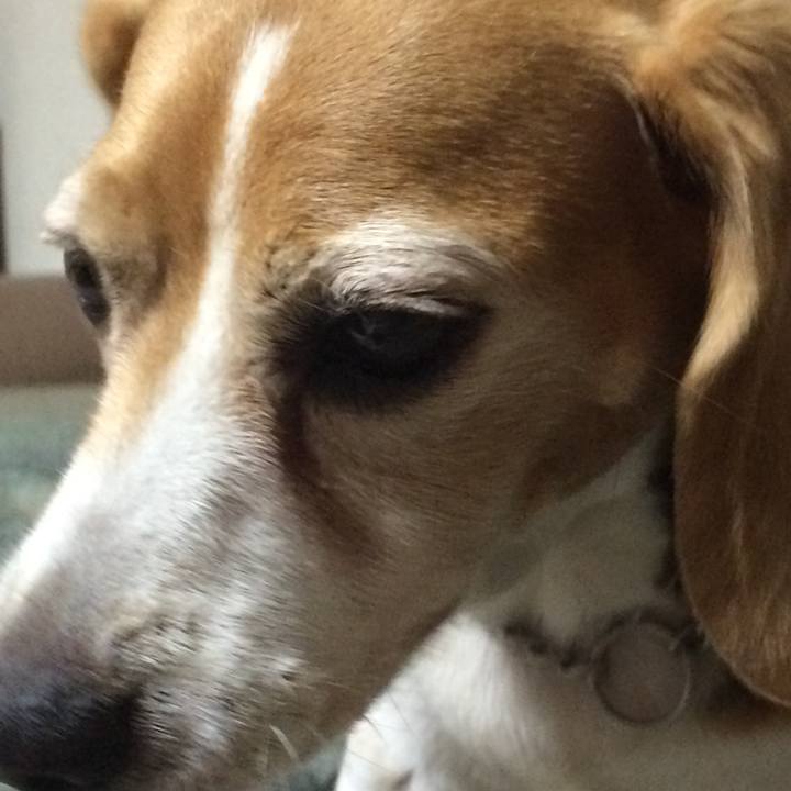 511ad927 a12c 4569 b074 e054c607df50