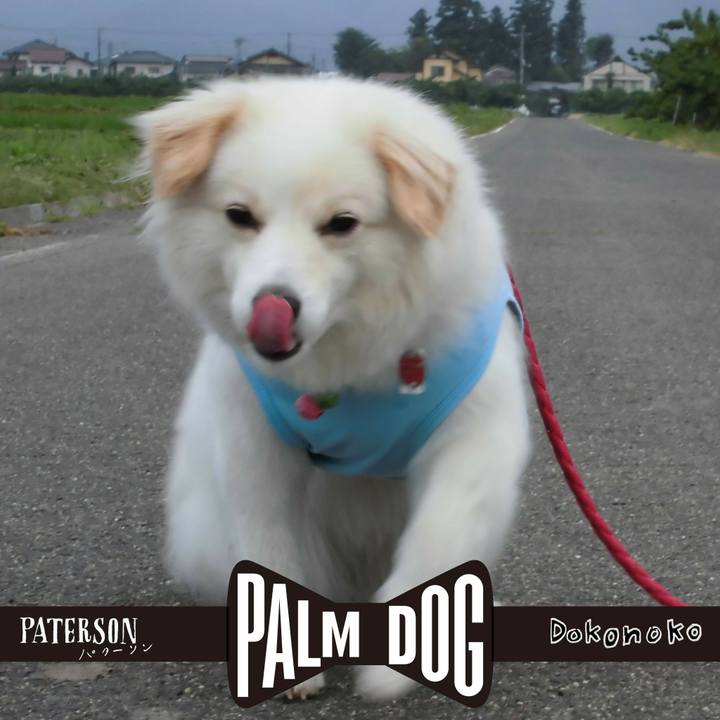 511c756e e251 412b a4c2 0d4f4f65fa65