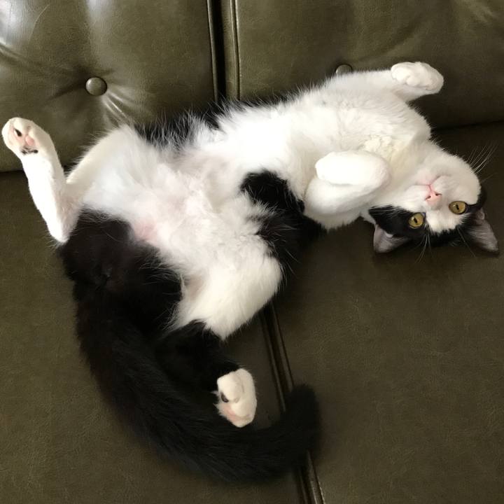 511ca912 385e 4a74 8968 a658c9d6afbb