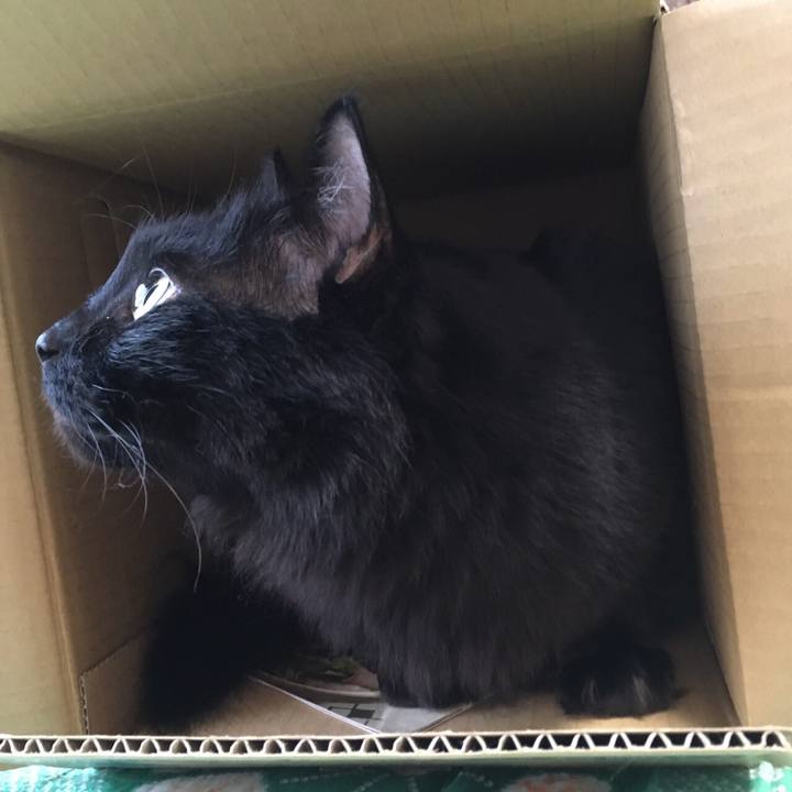 511cb5bf ba91 4a90 aabb 198a4eb80419