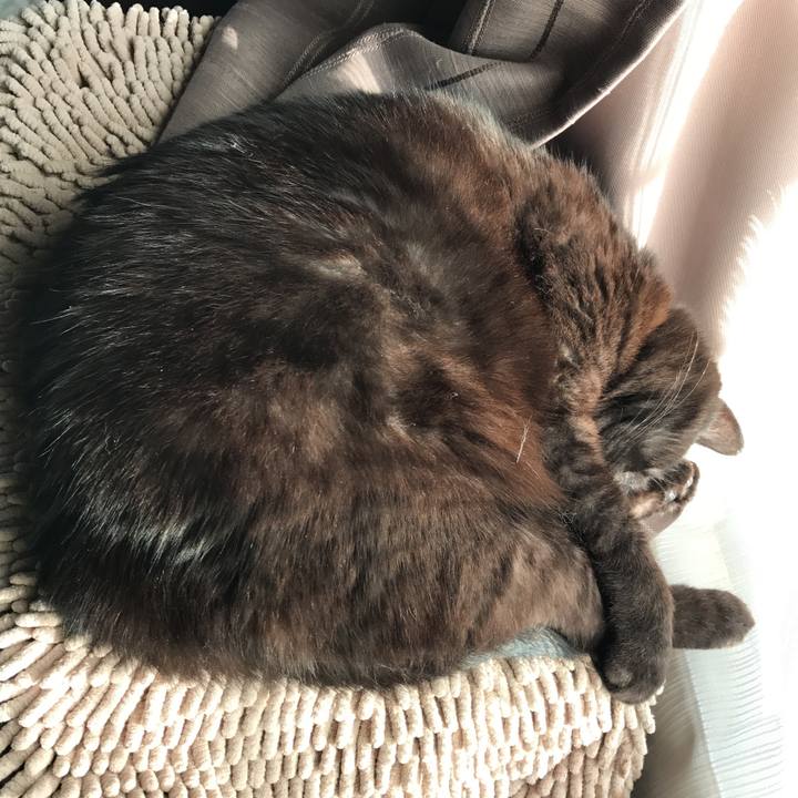 511d3dbb 7719 47d1 8e27 fd9cad7be3a1