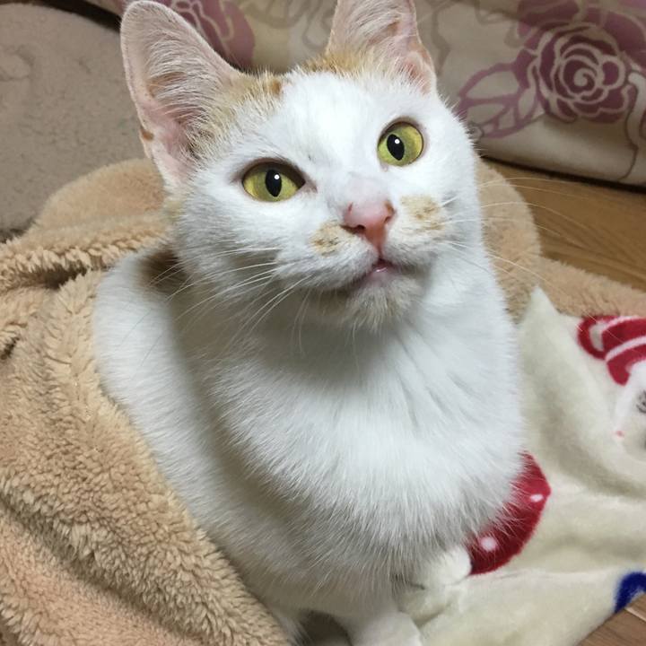 511dcd8d 9228 443c 9b25 f2479e3914c1